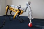Go Fetch! - Dynamic Grasps using Boston Dynamics Spot with External Robotic Arm